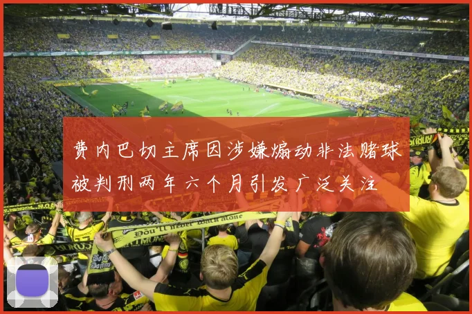 费内巴切主席因涉嫌煽动非法赌球被判刑两年六个月引发广泛关注